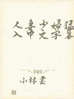 人妻少妇猛烈插入中文字幕封面