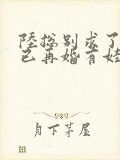 陆总别求了夫人已再婚有娃了短剧免费观看