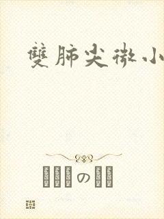 双肺尖微小结节