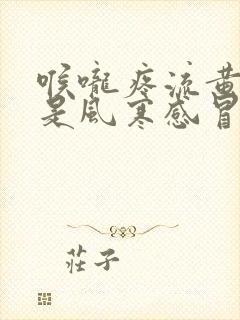 喉咙疼流黄鼻涕是风寒感冒还是风热感冒