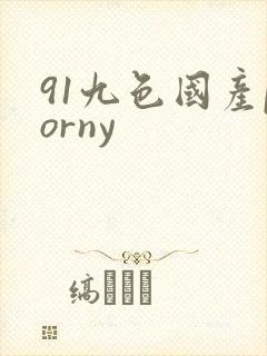 91九色国产porny
