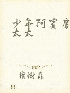 少年阿宾房东胡太太