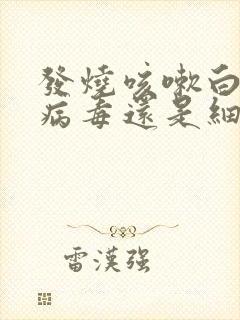 发烧咳嗽白痰是病毒还是细菌封面