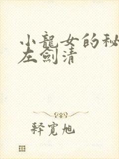 小龙女的秘密 左剑清