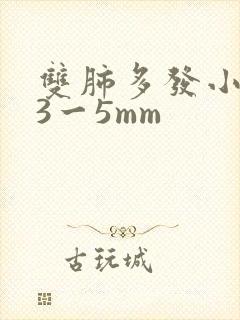 双肺多发小结节3一5mm