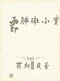 两肺微小实性结节