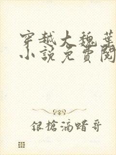 穿越大魏叶离的小说免费阅读封面