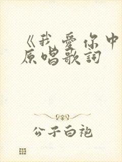 《我爱你中国》原唱歌词封面