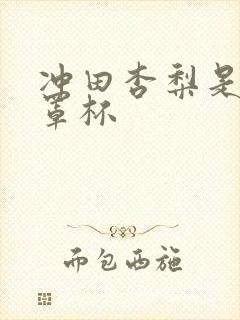 冲田杏梨是什么罩杯