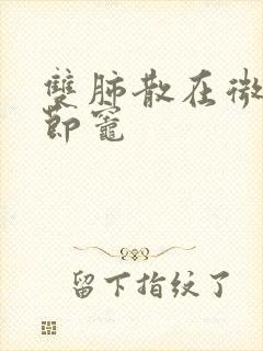 双肺散在微小结节灶