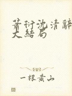 萧衍沈清辞小说大结局