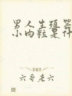 男人生殖器长有小肉粒是什么病