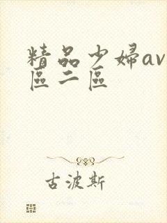 精品少妇av一区二区