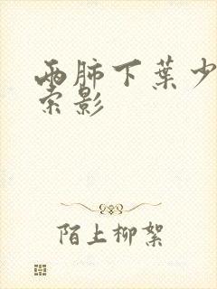 两肺下叶少许条索影