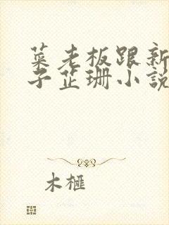 菜老板跟新婚妻子芷珊小说