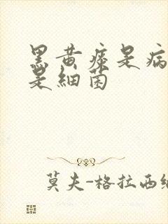 黑黄痰是病毒还是细菌封面