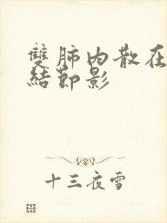 双肺内散在微小结节影