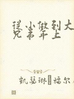 从小做到大骨科兄弟年上