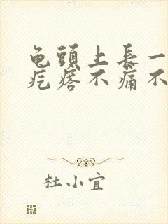 龟头上长一个肉疙瘩不痛不痒是怎么回事