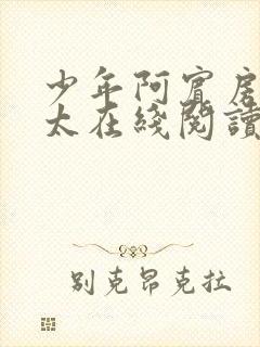 少年阿宾房东太太在线阅读