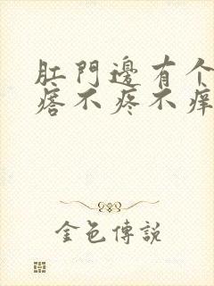 肛门边有个硬疙瘩不疼不痒封面