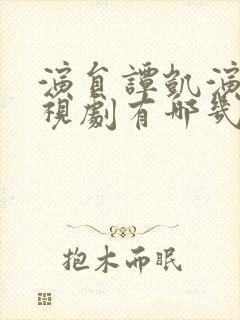 演员谭凯演的电视剧有哪几部封面