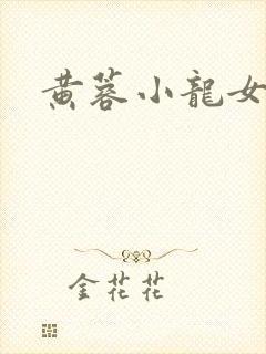 黄蓉小龙女小说封面