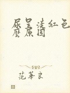 尿呈淡红色是什么原因