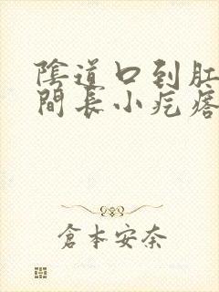 阴道口到肛门中间长小疙瘩