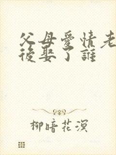 父母爱情老丁最后娶了谁