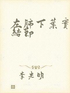 左肺下叶实性微结节封面