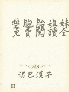 双胞胎姐妹小说免费阅读全文封面