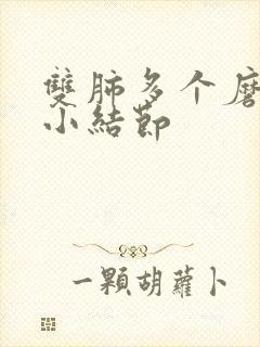 双肺多个磨玻璃小结节