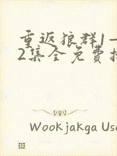 重返狼群1—12集全免费播放