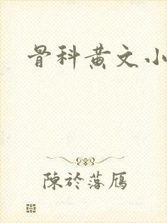 骨科黄文小说封面