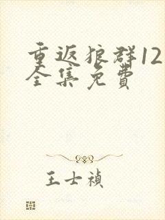 重返狼群12集全集免费