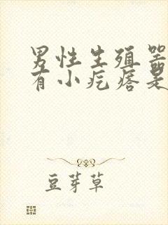 男性生殖器根部有小疙瘩是怎么回事