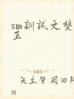 sm训诫文双男主