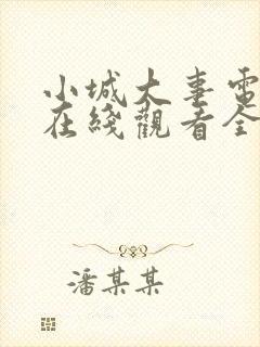 小城大事电视剧在线观看全集28集