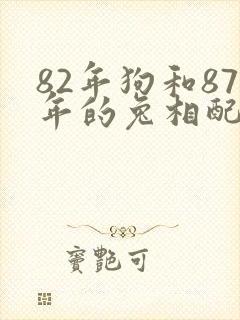 82年狗和87年的兔相配吗封面