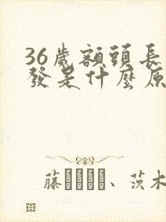 36岁额头长白发是什么原因