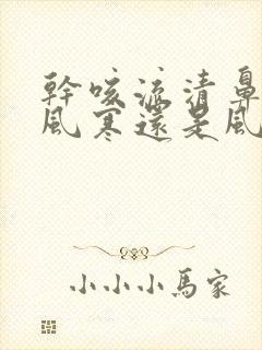 干咳流清鼻涕是风寒还是风热封面