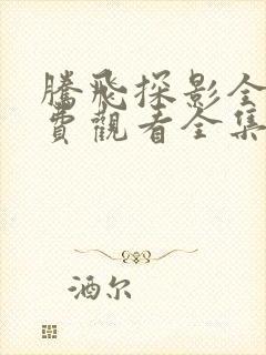 腾飞探影全集免费观看全集高清