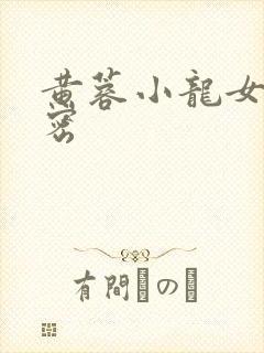 黄蓉小龙女的秘密封面