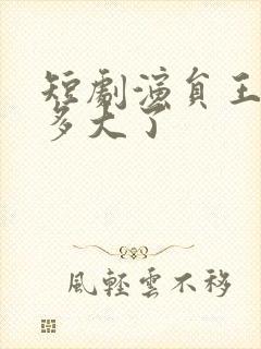 短剧演员王艺阳多大了