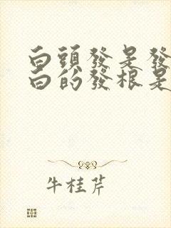 白头发是发梢是白的发根是黑的封面