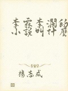 李霖李澜的官场小说叫什么