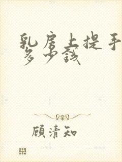 乳房上提手术要多少钱