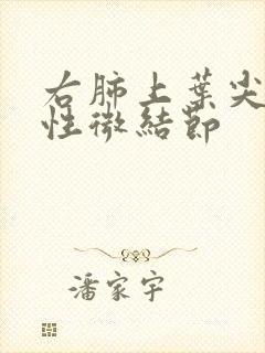 右肺上叶尖段实性微结节