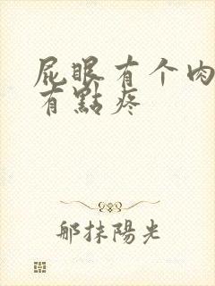 屁眼有个肉球,有点疼